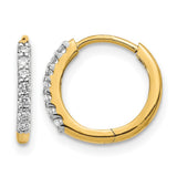 Hoop Earrings