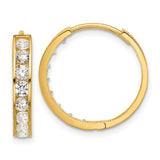 Hoop Earrings