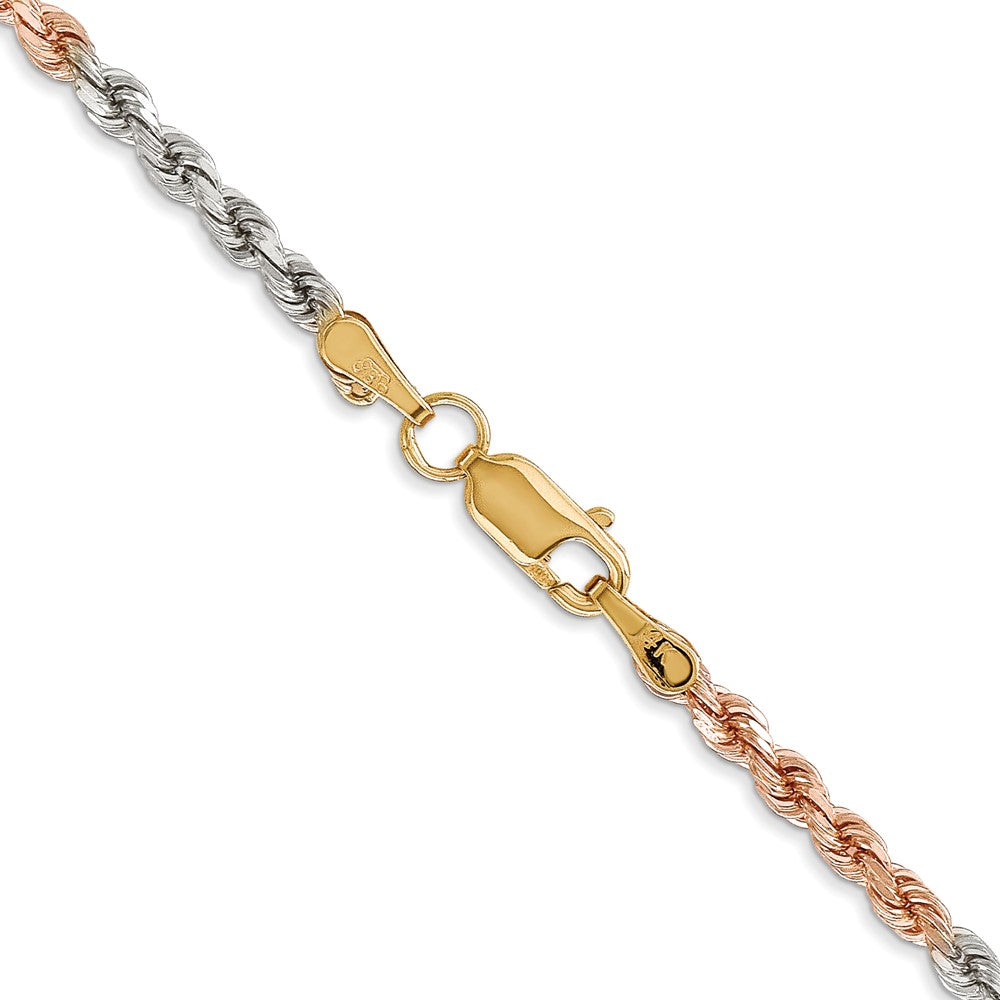 Gold (10K & 14K) Diamond-Cut Rope Chain — 2.9 mm