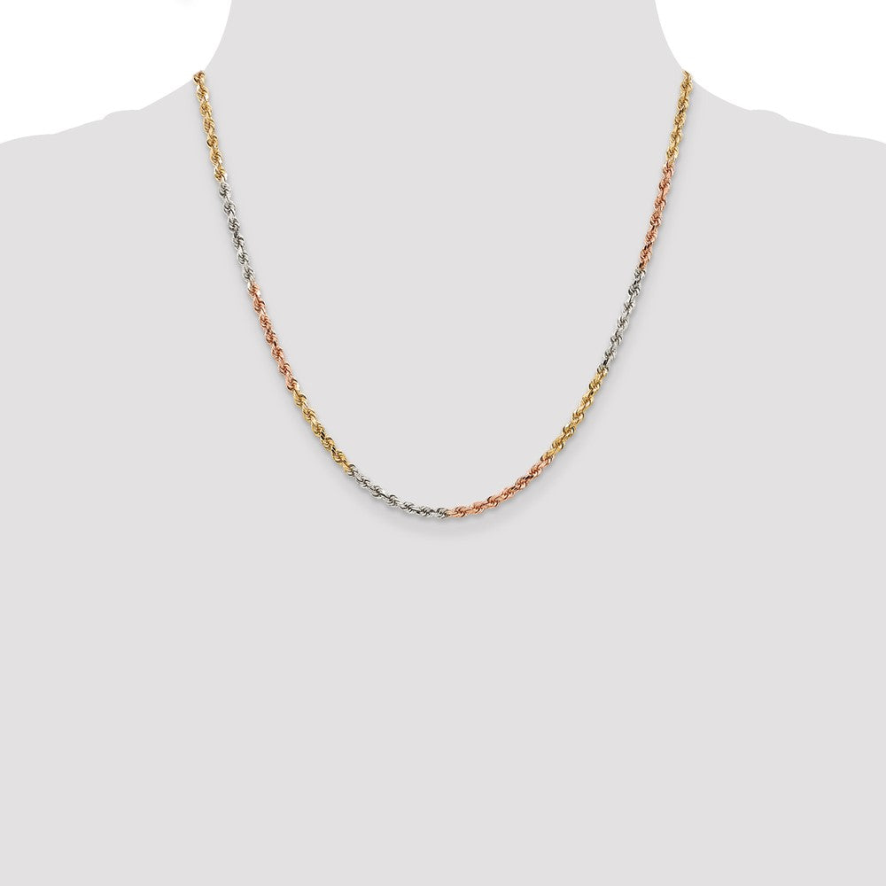 Gold (10K & 14K) Diamond-Cut Rope Chain — 2.9 mm