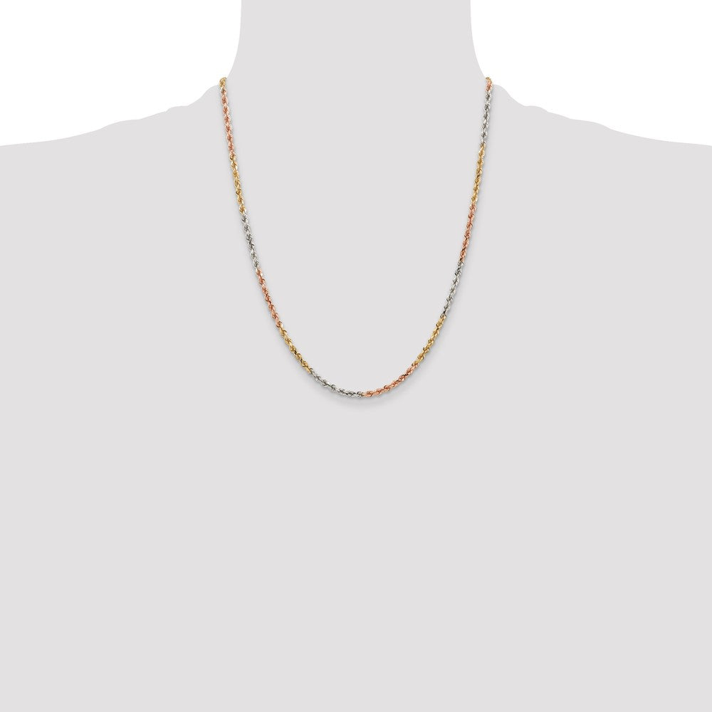 Gold (10K & 14K) Diamond-Cut Rope Chain — 2.9 mm