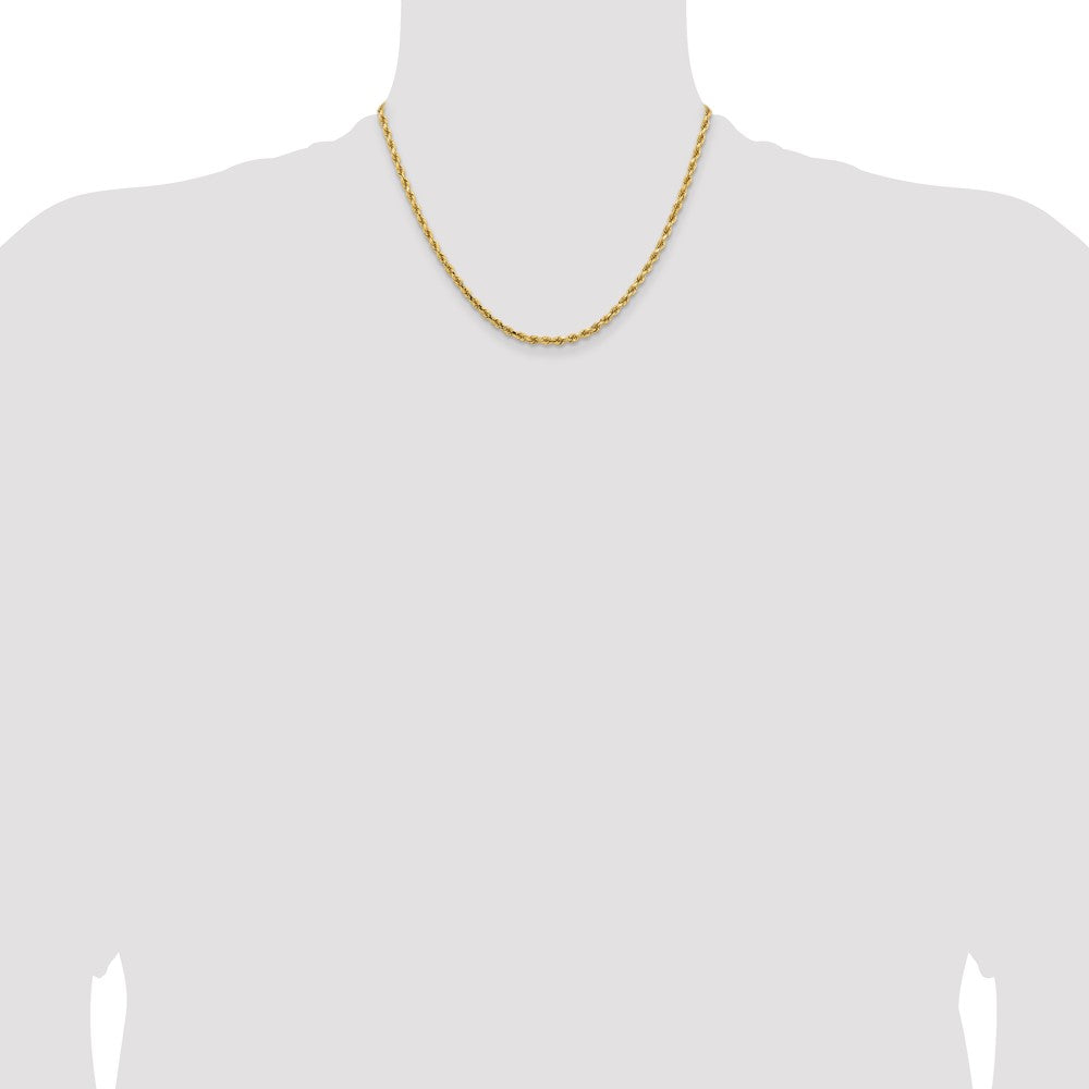 Gold (10K & 14K) Diamond-Cut Rope Chain — 3.25 mm