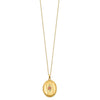 10K w/ 12k Accents and 14k Gold-filled Chain Black Hills Locket