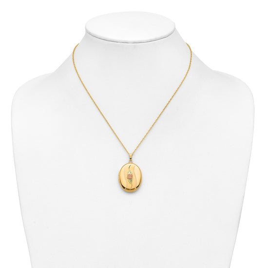 10K w/ 12k Accents and 14k Gold-filled Chain Black Hills Locket