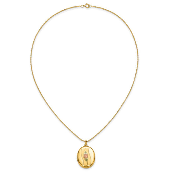 10K w/ 12k Accents and 14k Gold-filled Chain Black Hills Locket