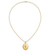 10K w/ 12k Accents and 14k Gold-filled Chain Black Hills Locket