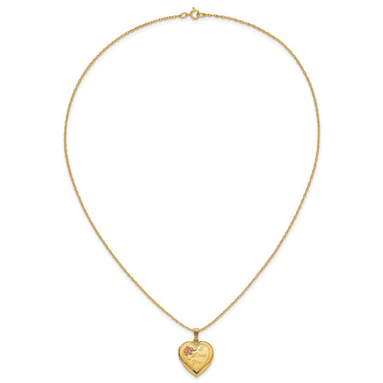 10k w/ 12k Accents and 14k Gold-filled Chain Black Hills Locket