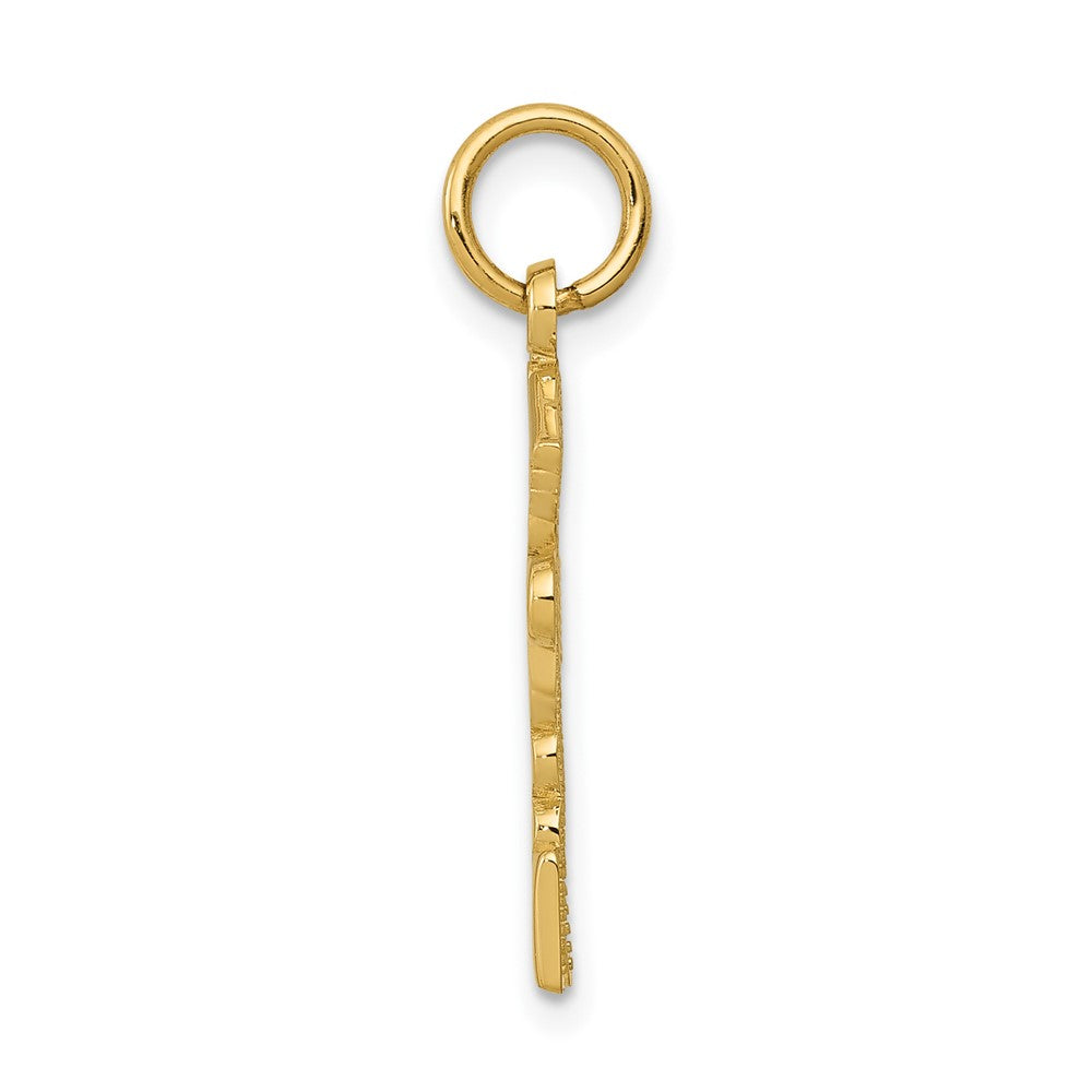 Gold Polished Medical Pendants