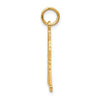 10K Hockey Charm