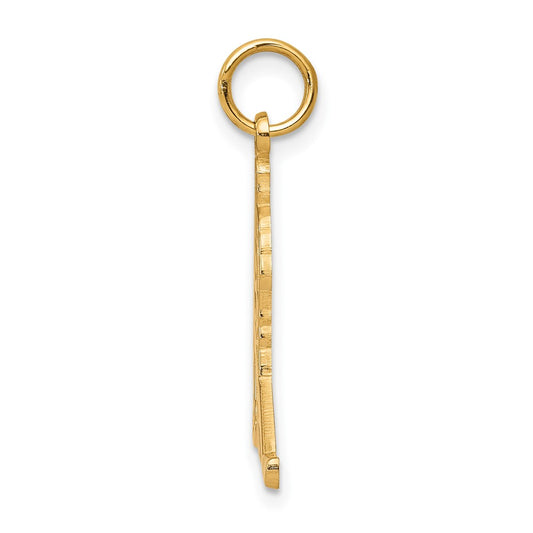 10K Hockey Charm