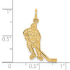 10K Hockey Charm