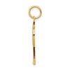 10K Iona Cross Charm