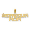 10k POLICE OFFICER'S MOM Charm