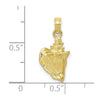 10k 3-D Conch Shell