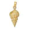 Gold Polished Sea Shell Pendants