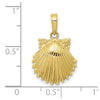 Gold Polished Sea Shell Pendants