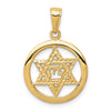 10k Jewish Chi in Star of David Pendant