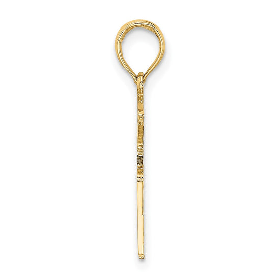 10k Registered Nurse Charm