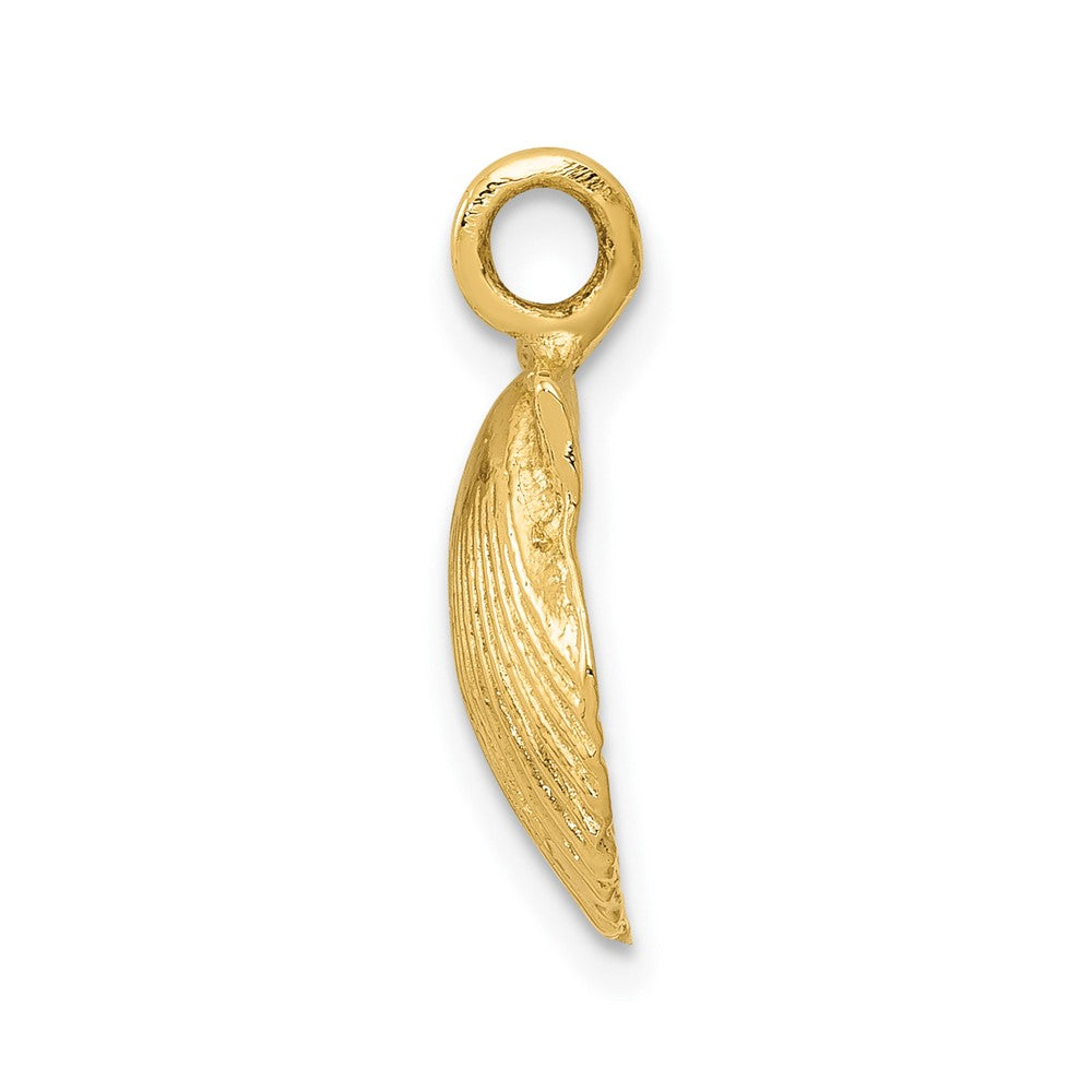 Gold Polished Sea Shell Pendants