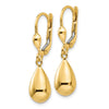 10k Polished Fancy Dangle Leverback Earrings