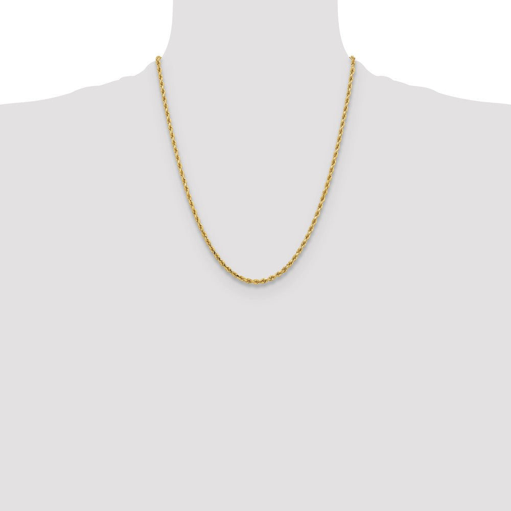 Gold (10K & 14K) Diamond-Cut Rope Chain — 3.25 mm