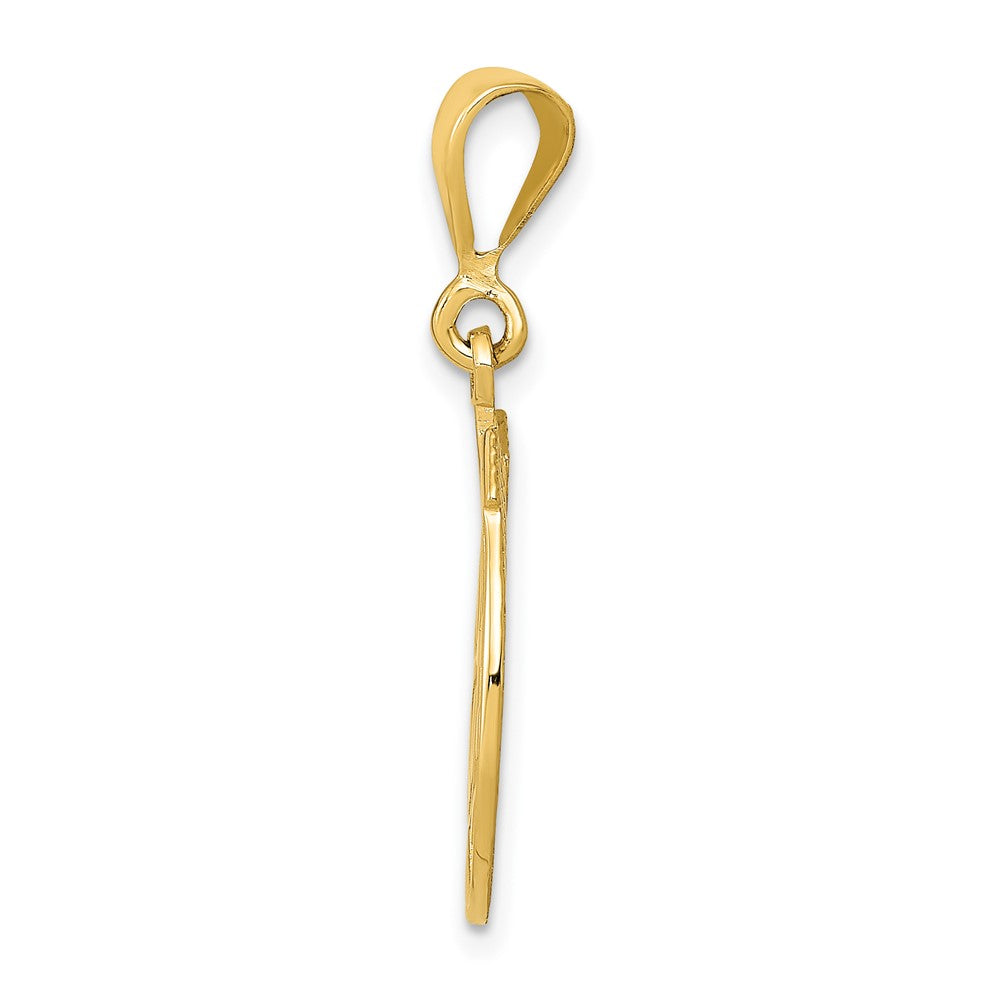 Gold Polished Horseshoe Pendants
