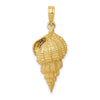 Gold Polished Sea Shell Pendants