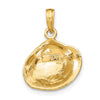 Gold Polished Sea Shells Pendants