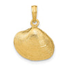 Gold Polished Sea Shells Pendants