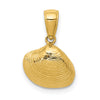 Gold Polished Sea Shells Pendants