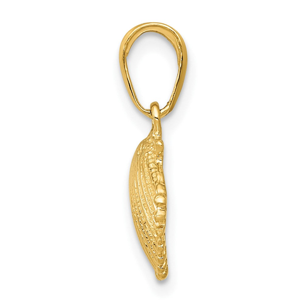 Gold Polished Sea Shell Pendants