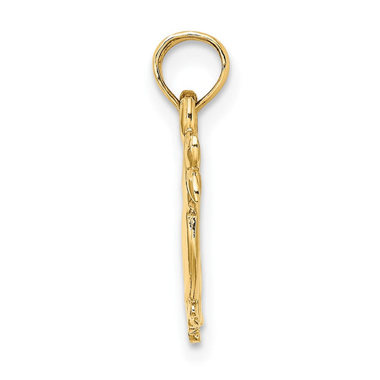 Gold 3D two Duck Charm
