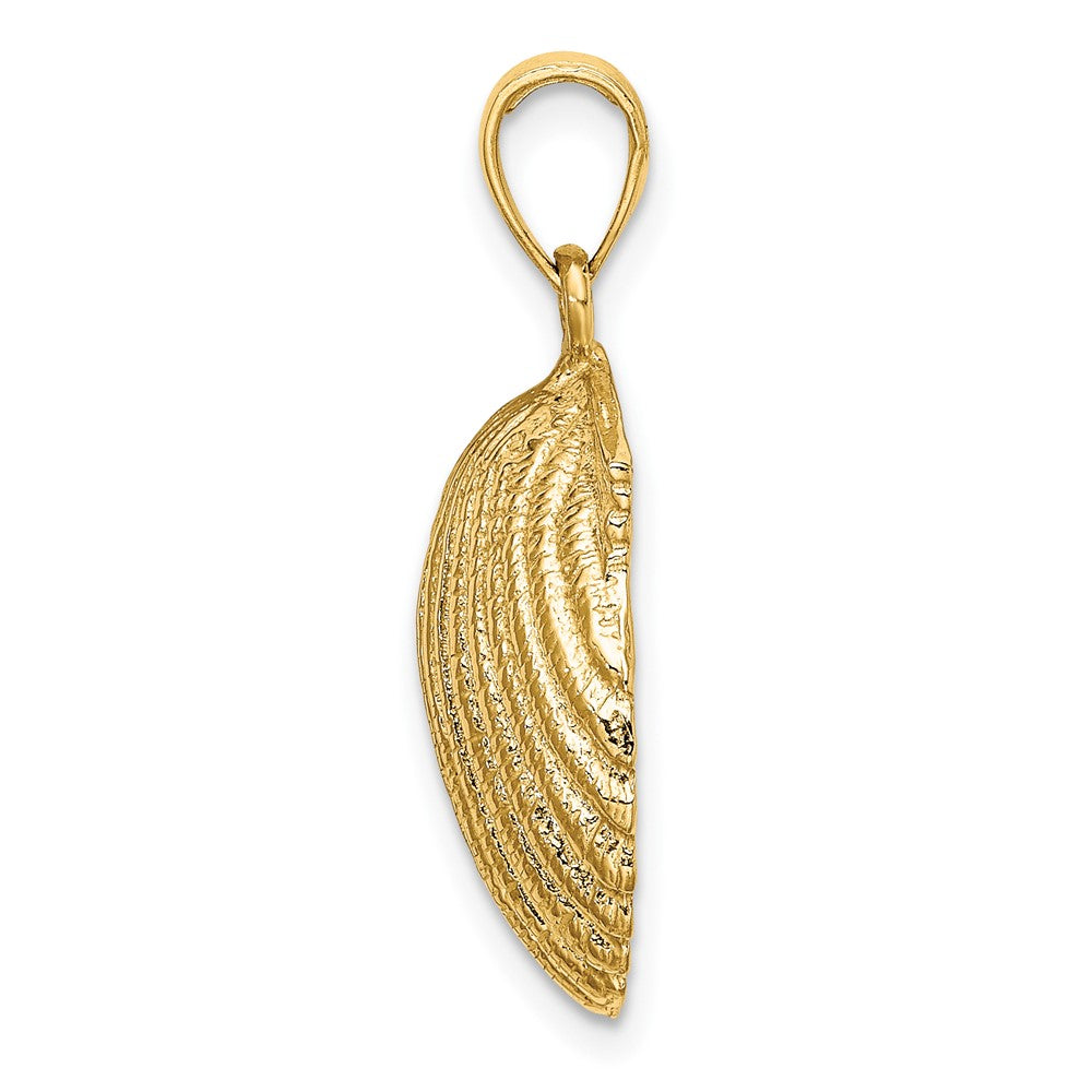 Gold Polished Sea Shell Pendants