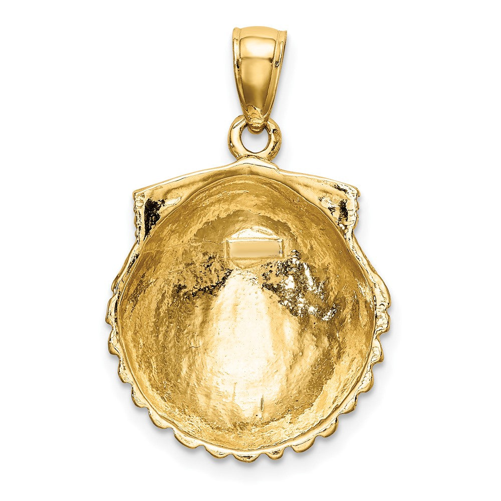Gold Polished Sea Shell Pendants