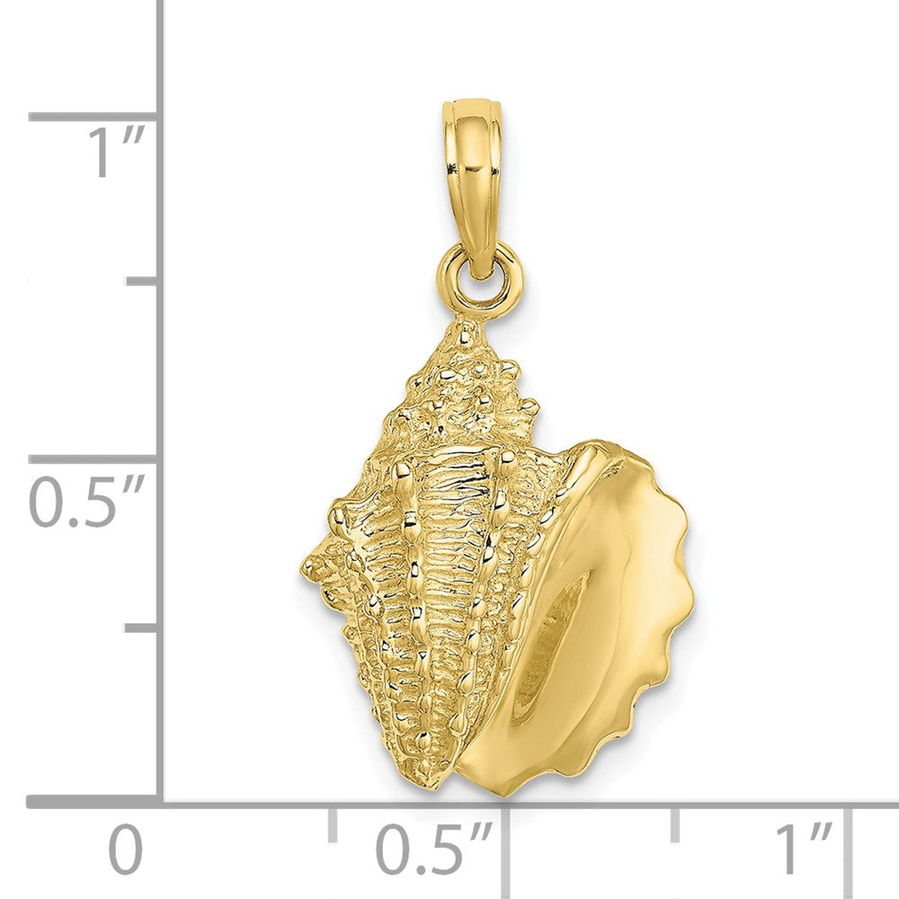 Gold Polished Sea Shell Pendants