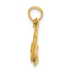 10K Textured Dolphin Jumping Charm