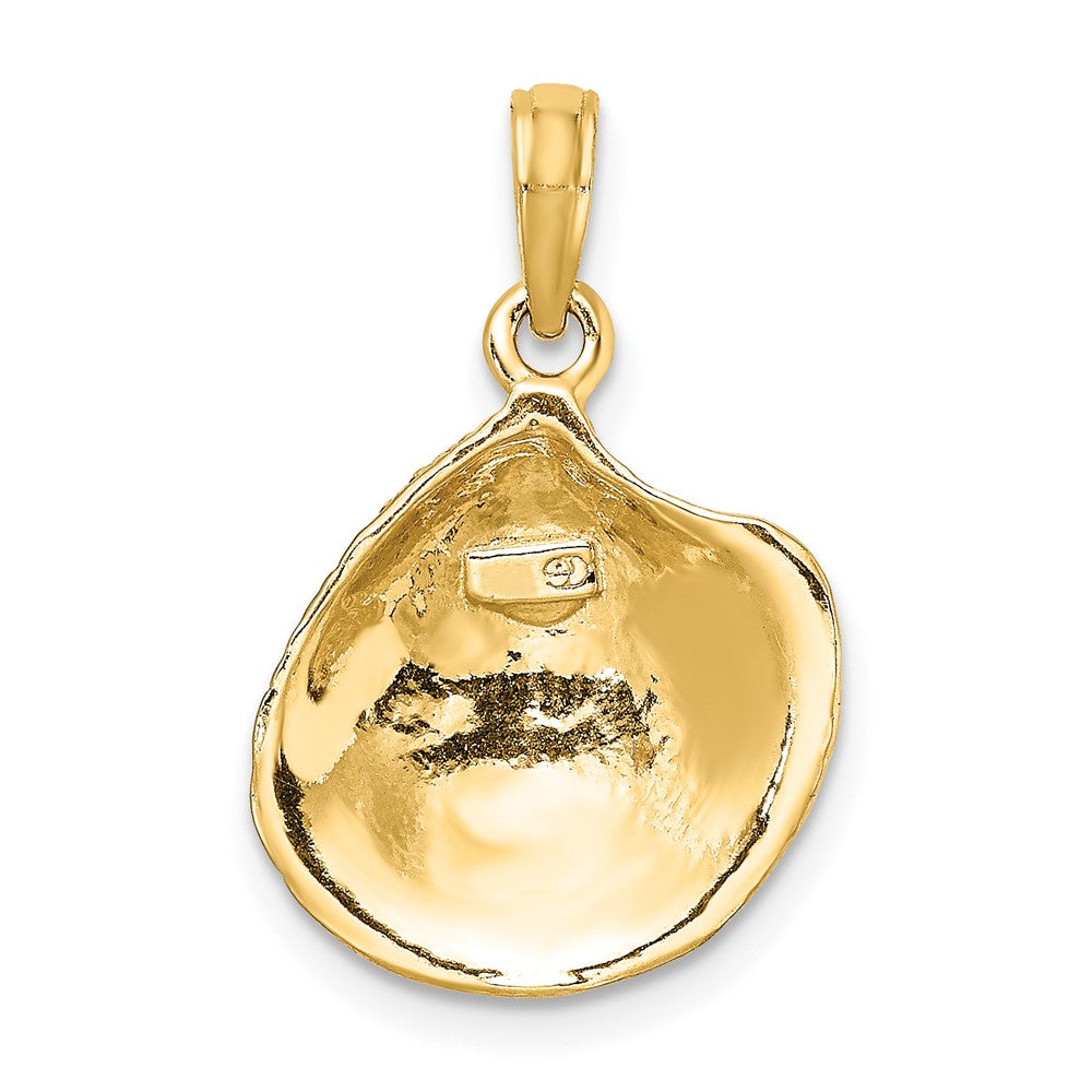 Gold Polished Sea Shell Pendants