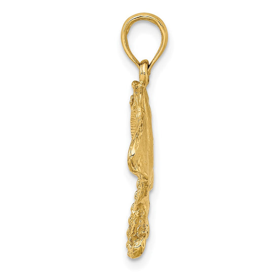 10K 2-D Stingray Charm