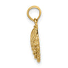 Gold Polished Sea Shell Pendants