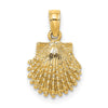 Gold Polished Sea Shell Pendants