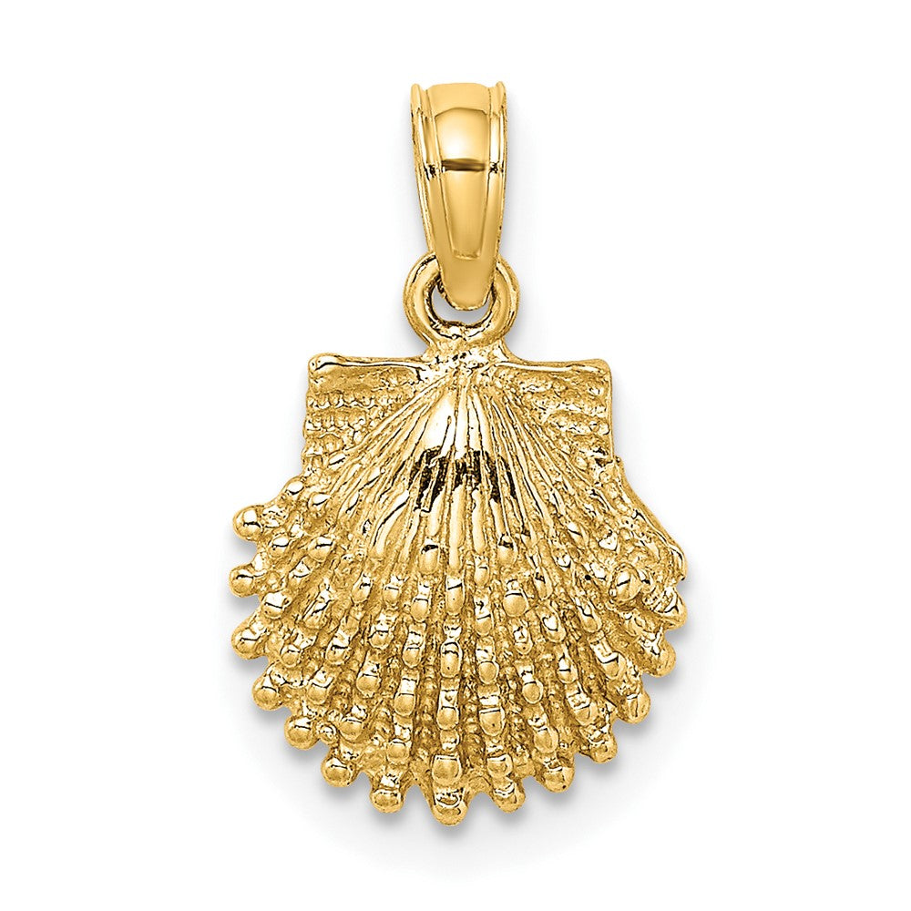 Gold Polished Sea Shell Pendants