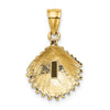 Gold Polished Sea Shell Pendants