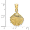 Gold Polished Sea Shell Pendants