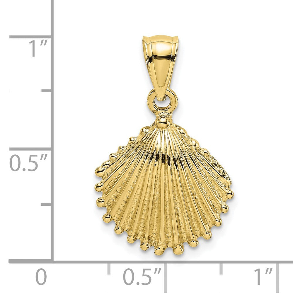 Gold Polished Sea Shell Pendants