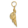 Gold Polished Sea Shell Pendants