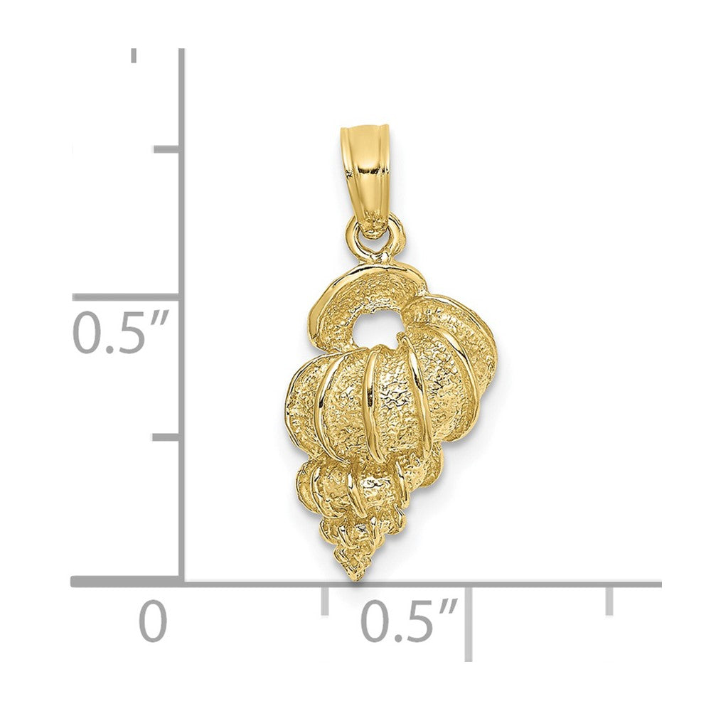 Gold Polished Sea Shell Pendants