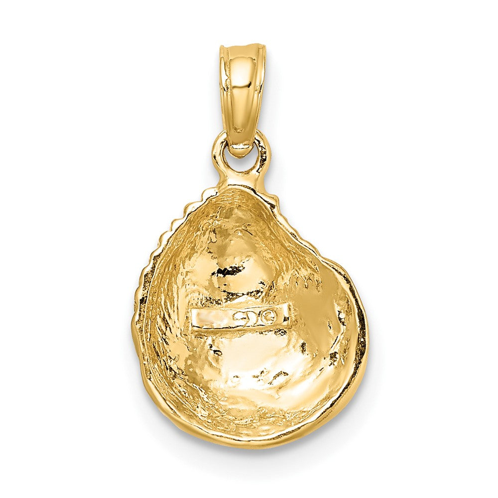 Gold Polished Sea Shell Pendants