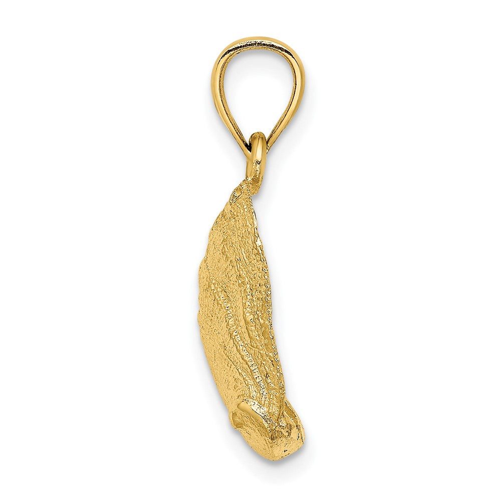 Gold Polished Sea Shell Pendants