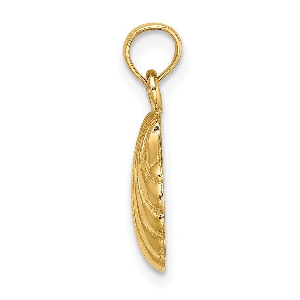 Gold Polished Sea Shell Pendants