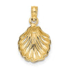 Gold Polished Sea Shell Pendants